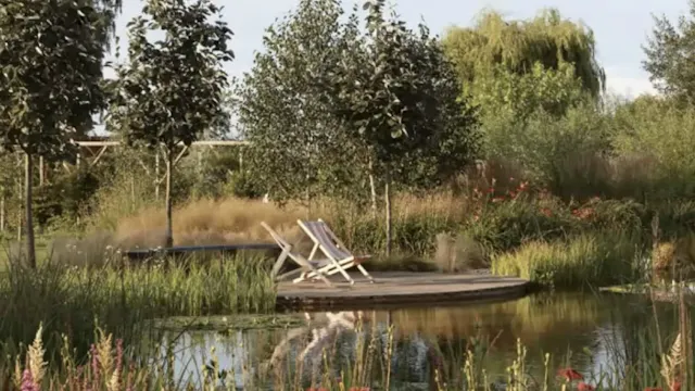 Sarah Murch - Natural Swimming Pools