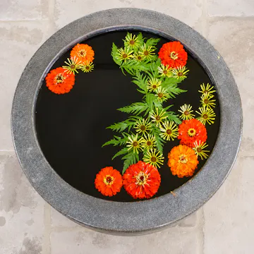 5 Seasonal Planting Principles at Chanticleer