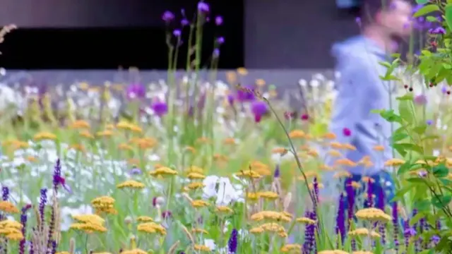 Nigel Dunnett - Future Gardens