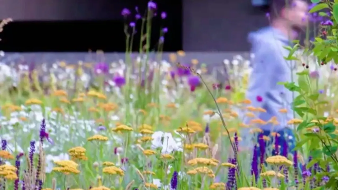Nigel Dunnett - Future Gardens