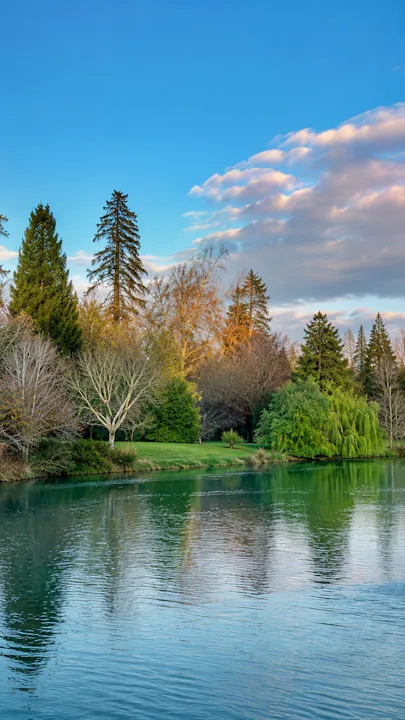 Matt Pottage – Conifers, Life after Leylandii
