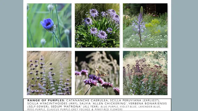 Designing for year-round interest in a Mediterranean climate garden