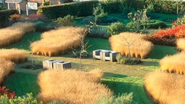 Neil Lucas – Grasses & Perennials