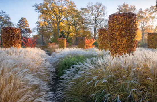 Tom Stuart-Smith – Perennials that perform