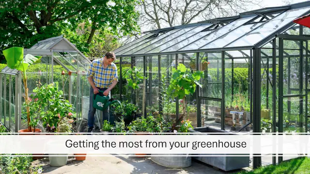 Tom Brown on making the most of your greenhouse