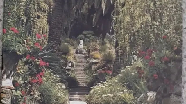 Katy Merrington - Making the Most of Garden Visits