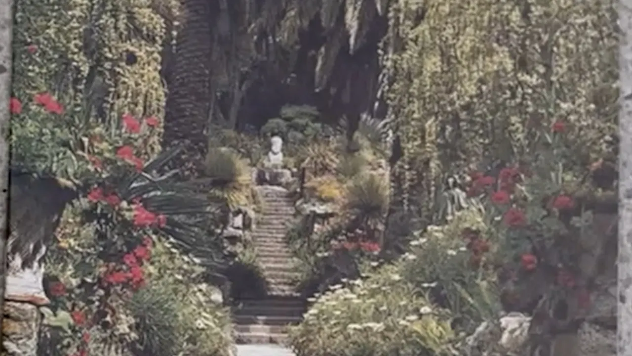 Katy Merrington - Making the Most of Garden Visits