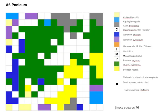 Mapping Plant Growth – exploring what happens when perennials with different growth habits and origins share space.