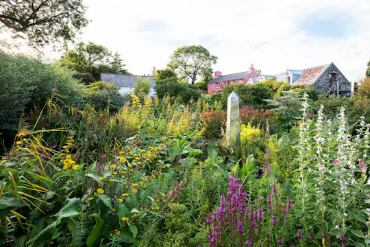 Dyffryn Fernant - a Garden in West Wales