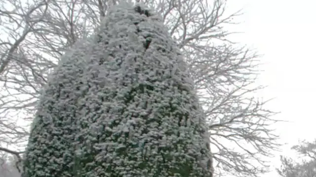 Troy Scott-Smith on Winter