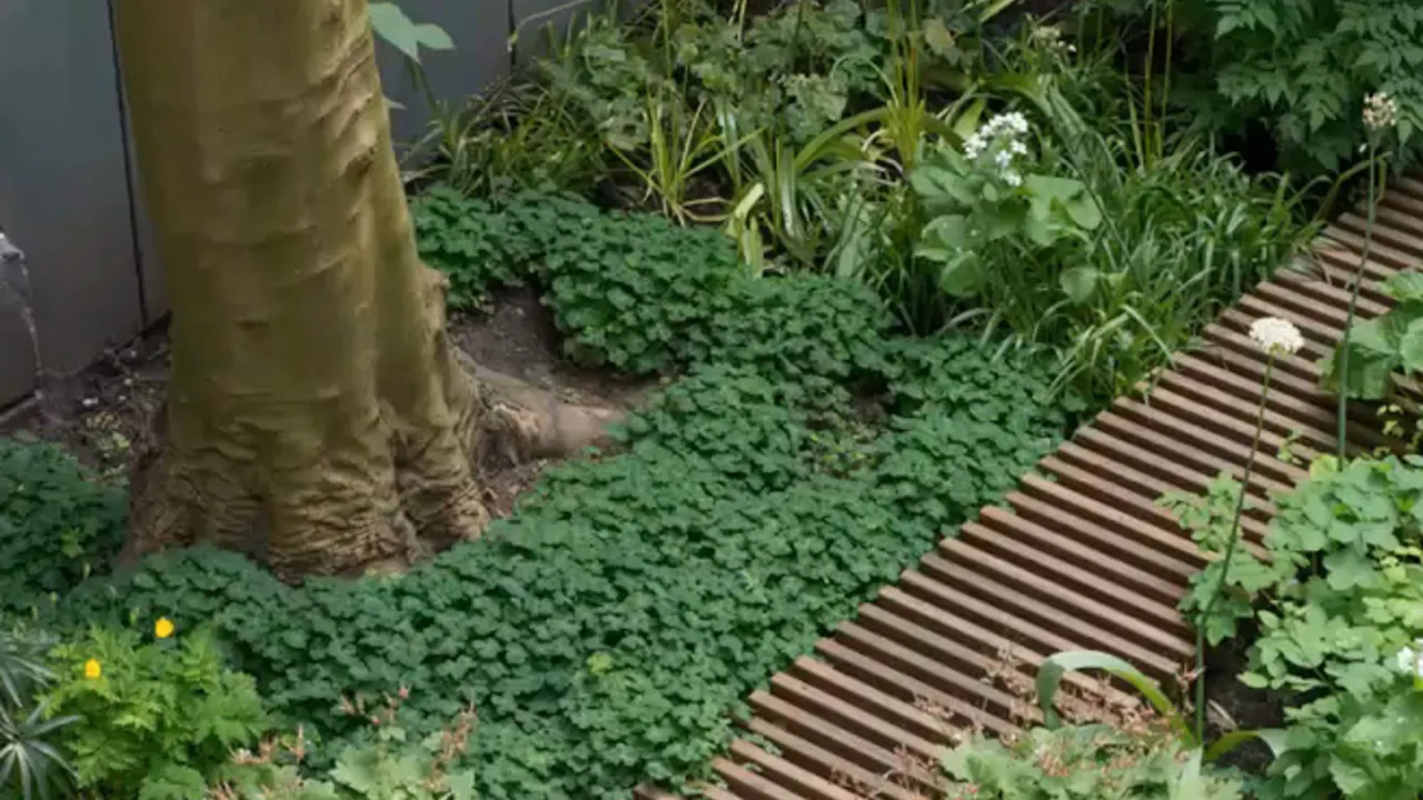 Small Gardens with a Twist – Carolien Barkman