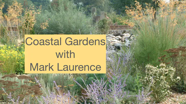 Mark Laurence on Coastal Gardens