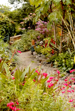Dyffryn Fernant - a Garden in West Wales