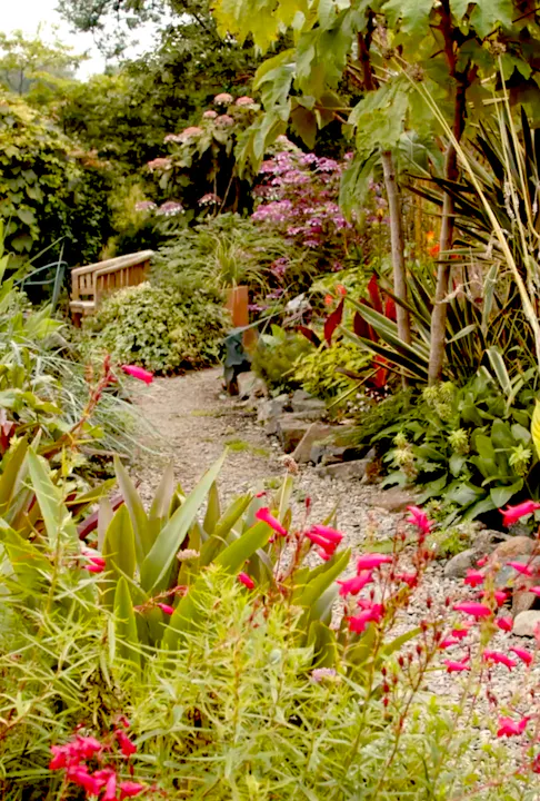 Dyffryn Fernant - a Garden in West Wales