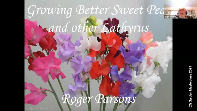 Roger Parsons - Growing Better Sweet Peas