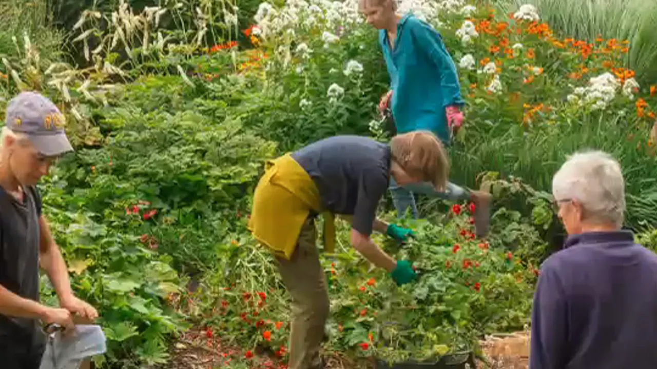 Tom Stuart-Smith – Perennials that Perform