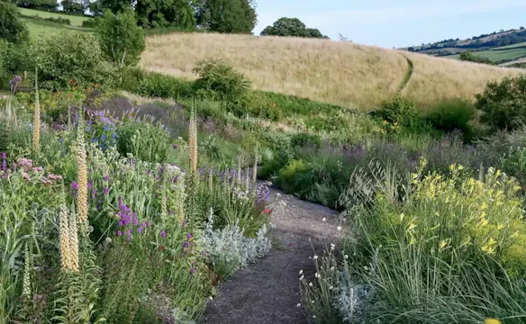 Jared Barnes on Planting with Perception