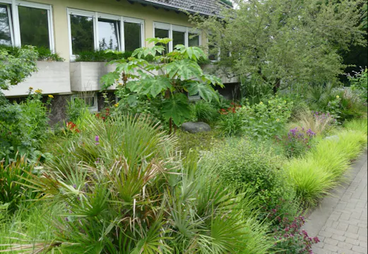 Harald Sauer - Reimagining & Renovating Planting