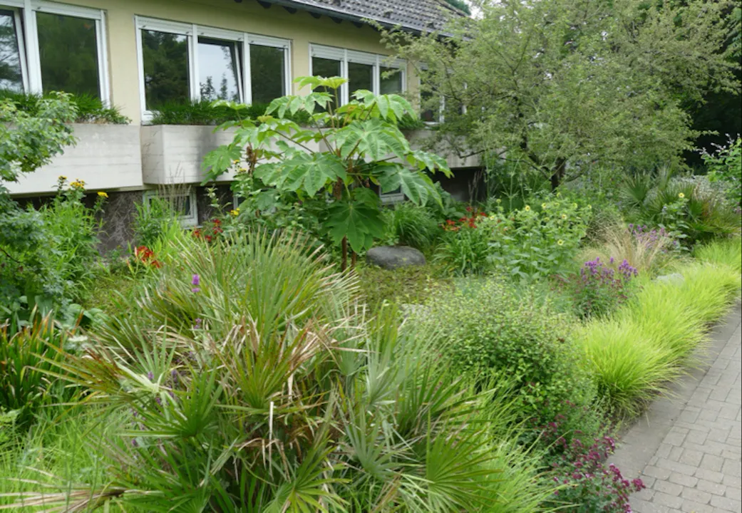 Harald Sauer - Reimagining & Renovating Planting
