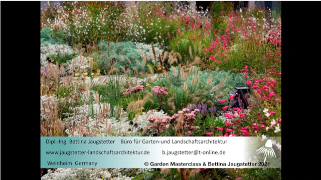 Bettina Jaugstetter on Mixed Perennial Planting