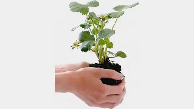 Propagating Green Therapies