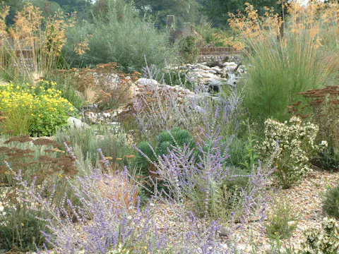 Mark Laurence on Coastal Gardens