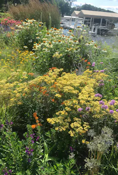 Roy Diblik – ‘Know Maintenance’ Perennials