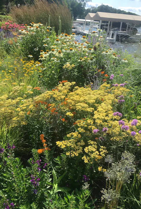 Roy Diblik – ‘Know Maintenance’ Perennials