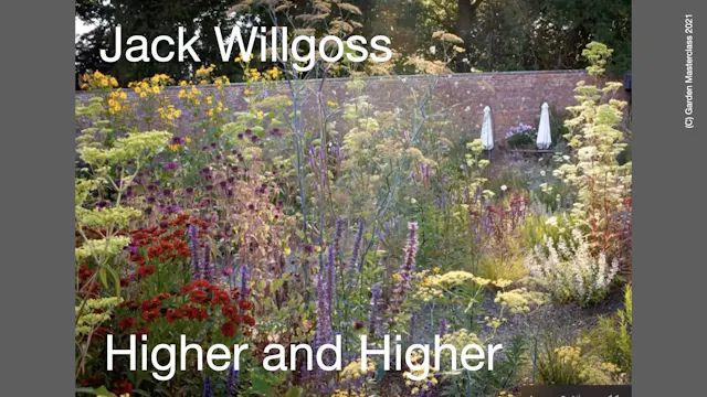 Jack Willgoss - Going Higher and Higher