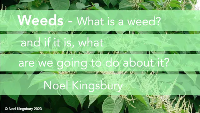 Noel Kingsbury - Weeds – What is a weed?