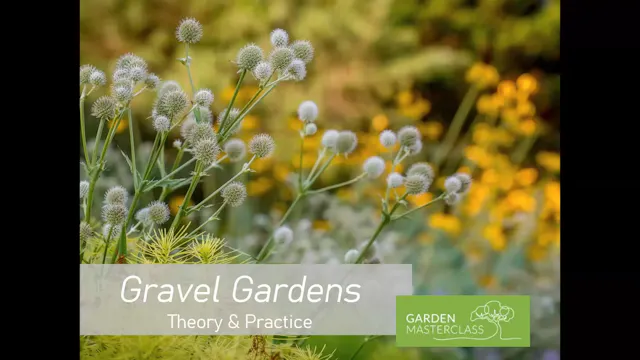 Steve Castorani on Growing in Gravel Mulch