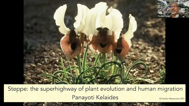 Steppe: the superhighway of plant evolution and human migration