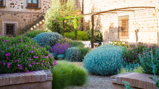 Miguel Urquijo - Mediterranean Planting