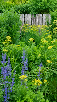 Marcus de la Fleur: Sustainable Drainage