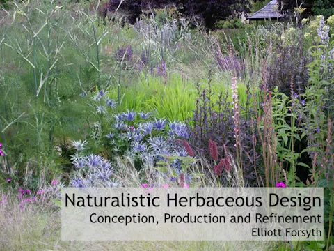 Elliott Forsyth – The Perennial Design Process (subs)