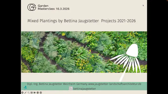 Bettina  Jaugstetter Projects