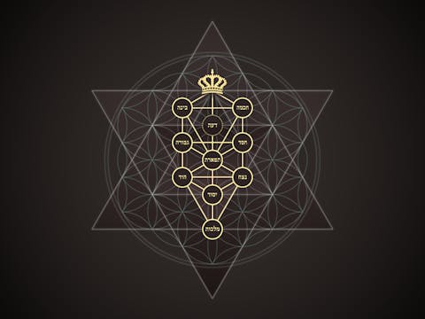 Omnisutra - Tree of Life