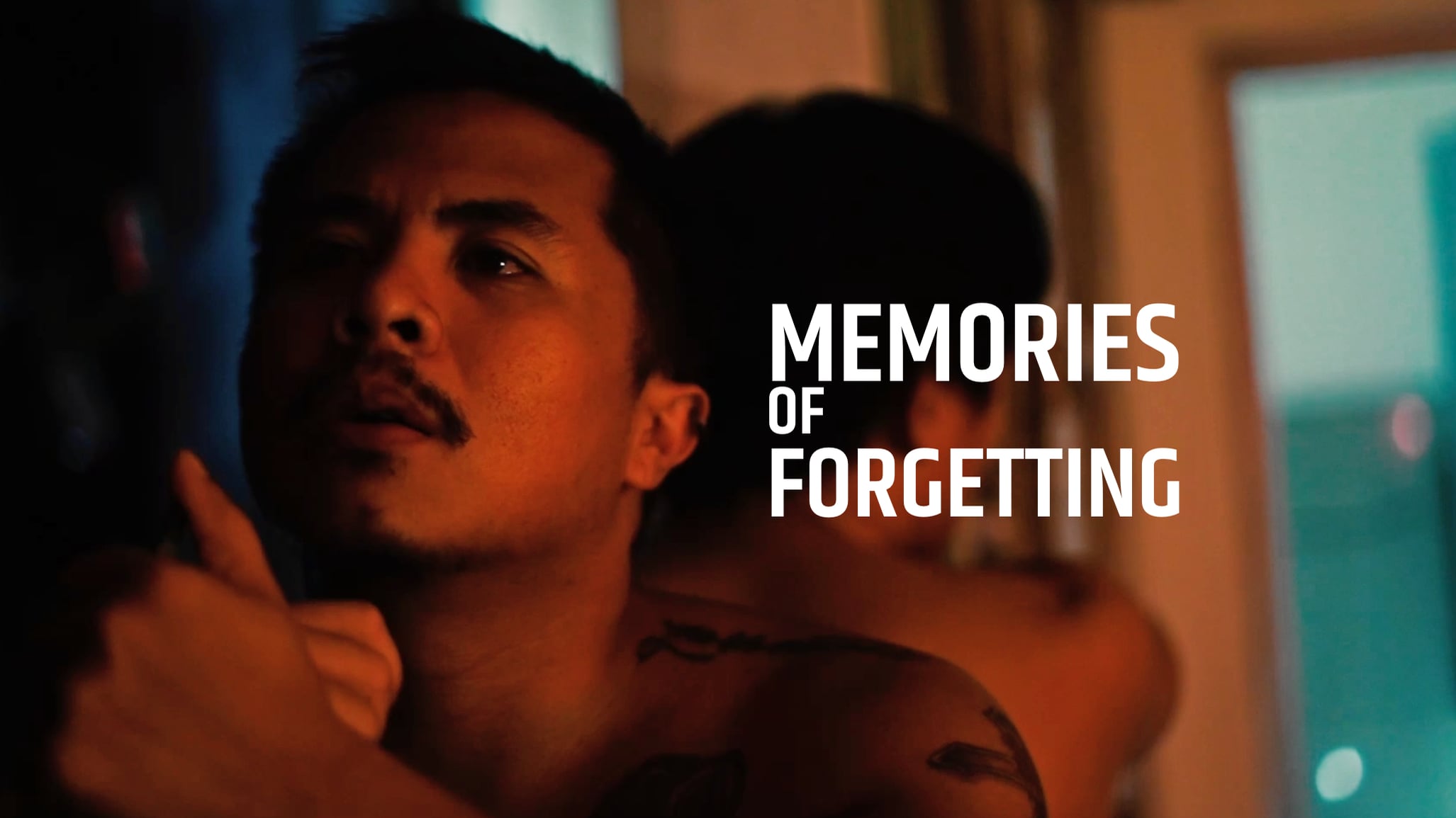 Memories of Forgetting