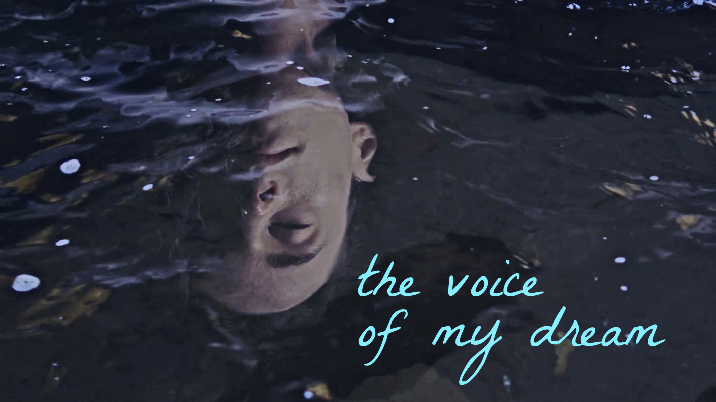 The Voice of My Dream