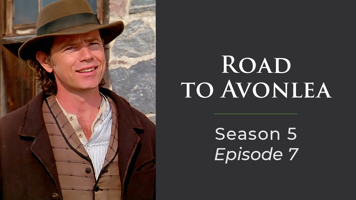 5X Road to Avonlea: The Complete Series - store Seasons 1-7