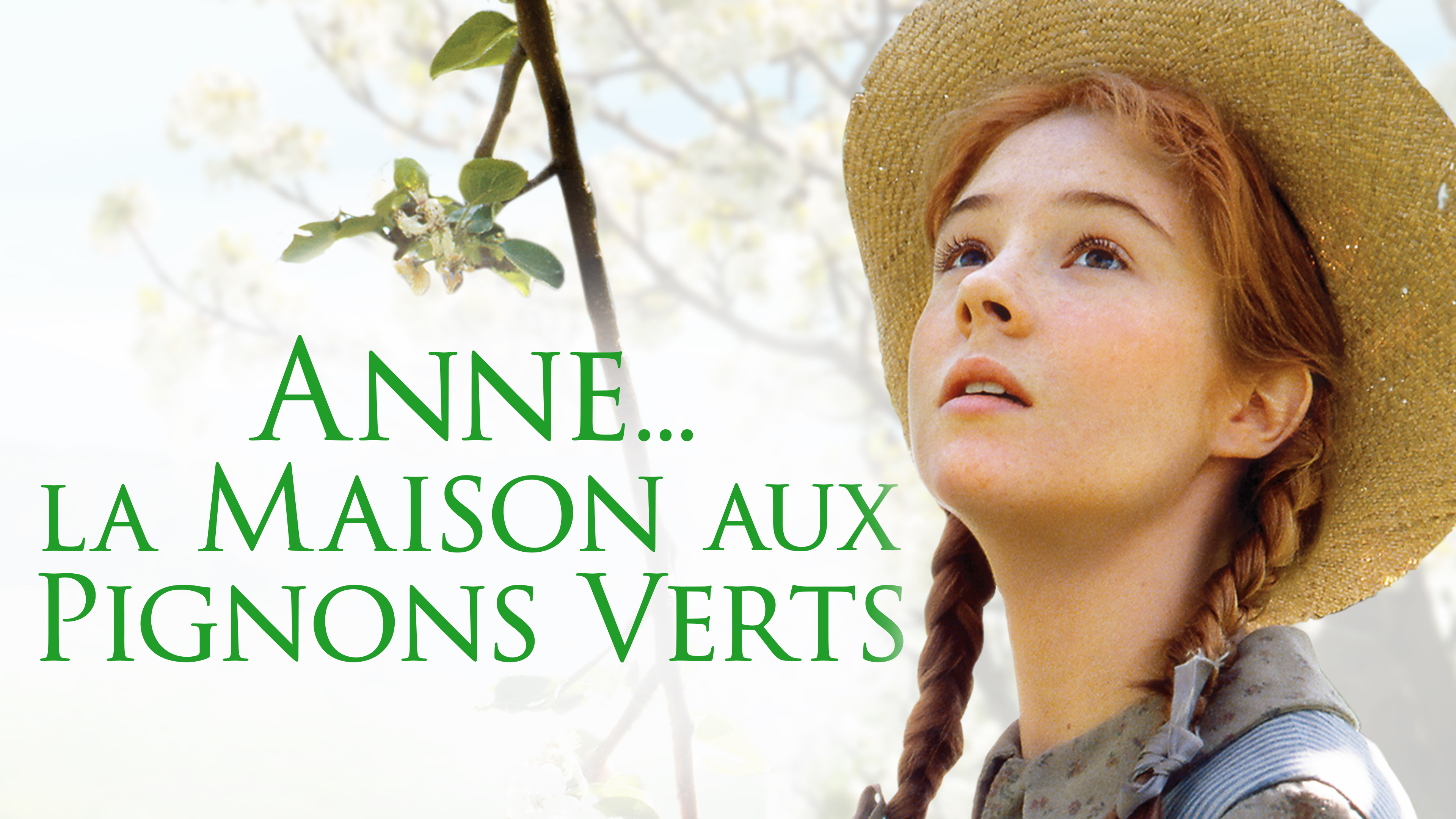 Anne... la Maison aux pignons verts