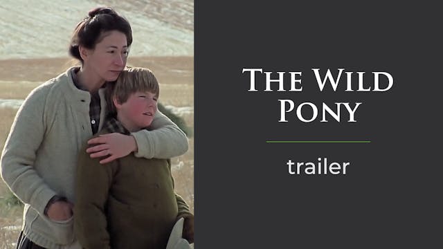 The Wild Pony Trailer