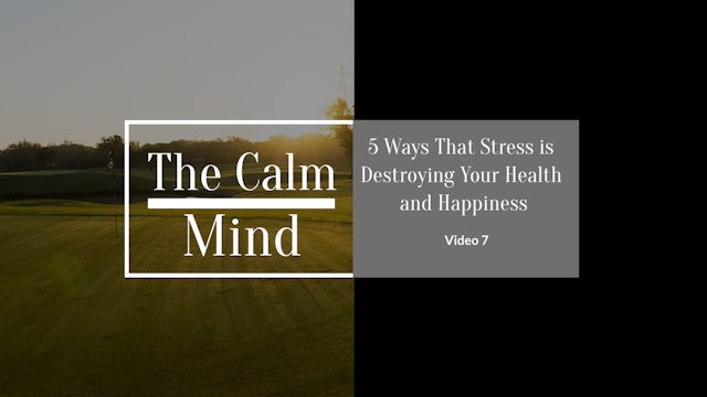 5 Ways That Stress is Destroying Your Health and Happiness