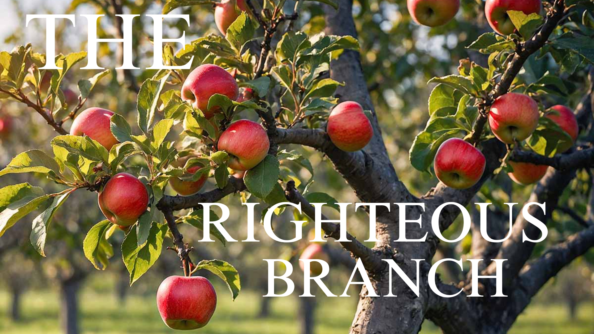 THE RIGHTEOUS BRANCH 🌴