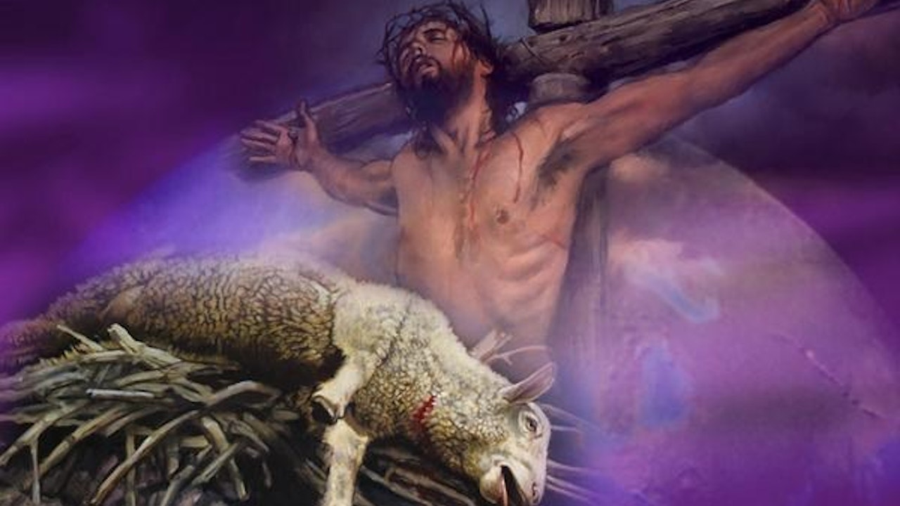 JESUS ON TRIAL PT 6 SACRIFICIAL LAMB EXPOSED GDASH THE PROPHET jesus-on-trial-pt-6-sacrificial-lamb-exposed-gdash-the-prophet