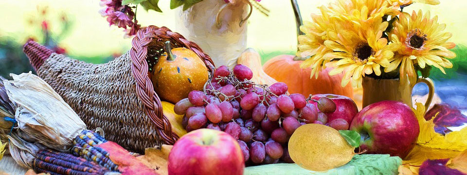 THE 3 APPOINTED FEAST DAYS (JESUS NEVER KEPT)