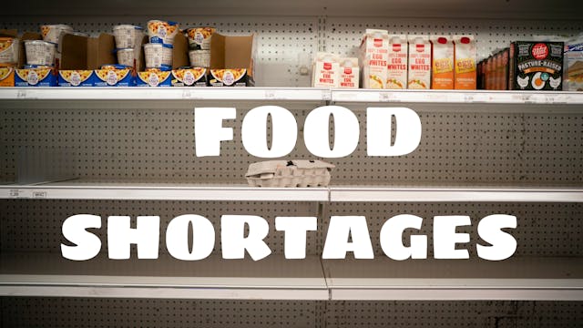 FOOD SHORTAGES- PLANNED BY YOUR OWN GOVENT