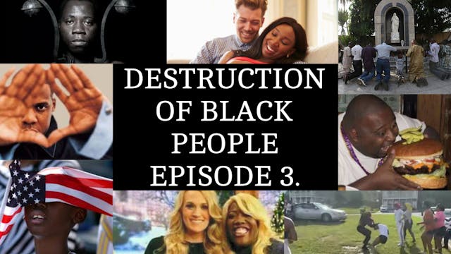 THE DESTRUCTION OF BLACK PEOPLE PT.3