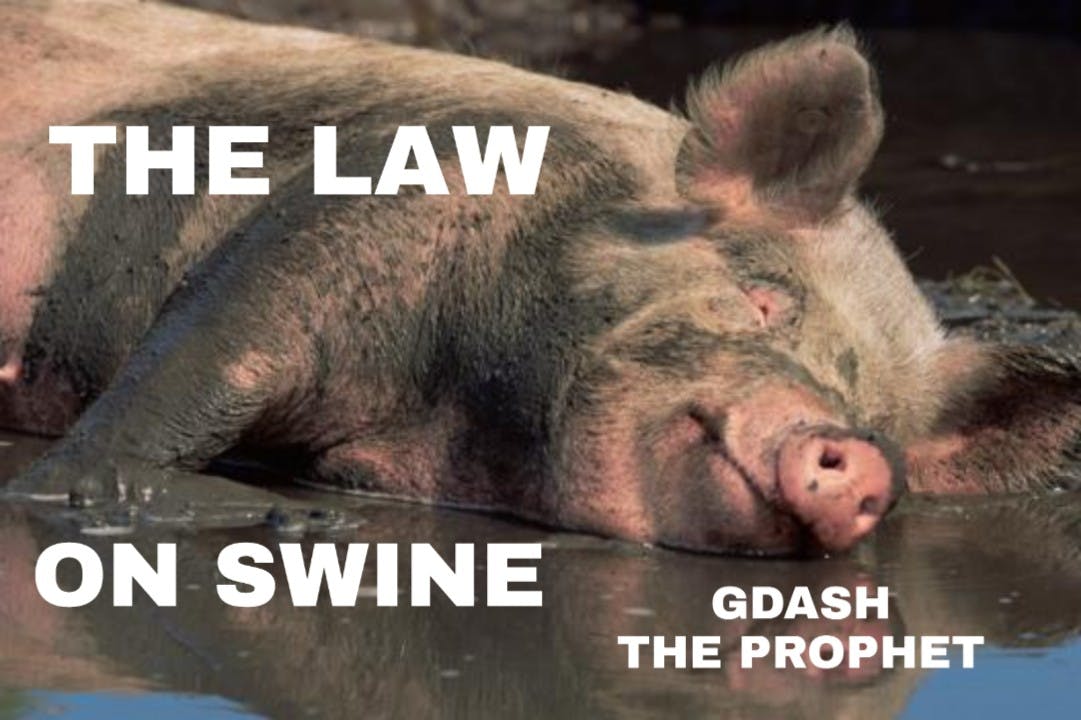 LAW ON SWINE 