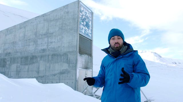 Vitamania Bonus Scene - Svalbard Seed Bank